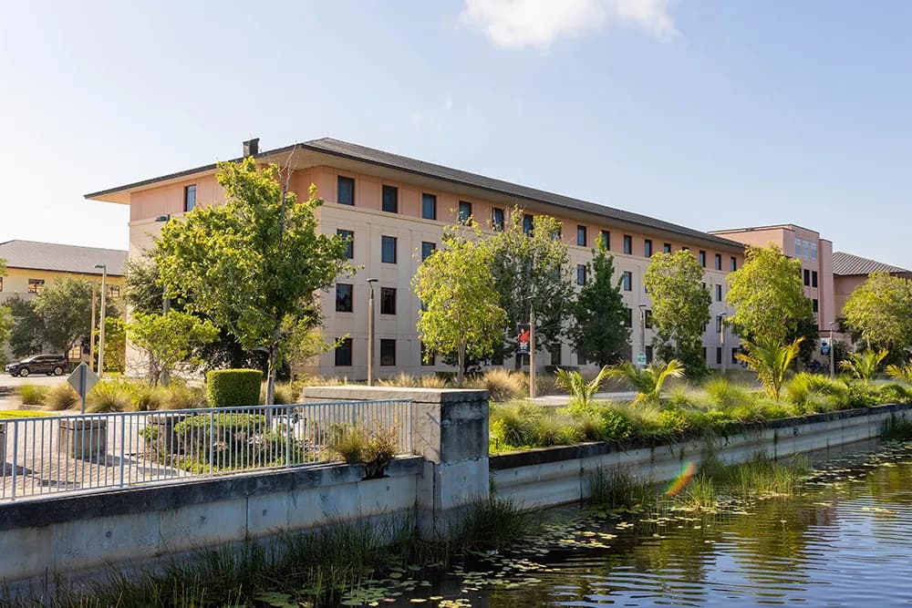 St. Teresa of Calcutta