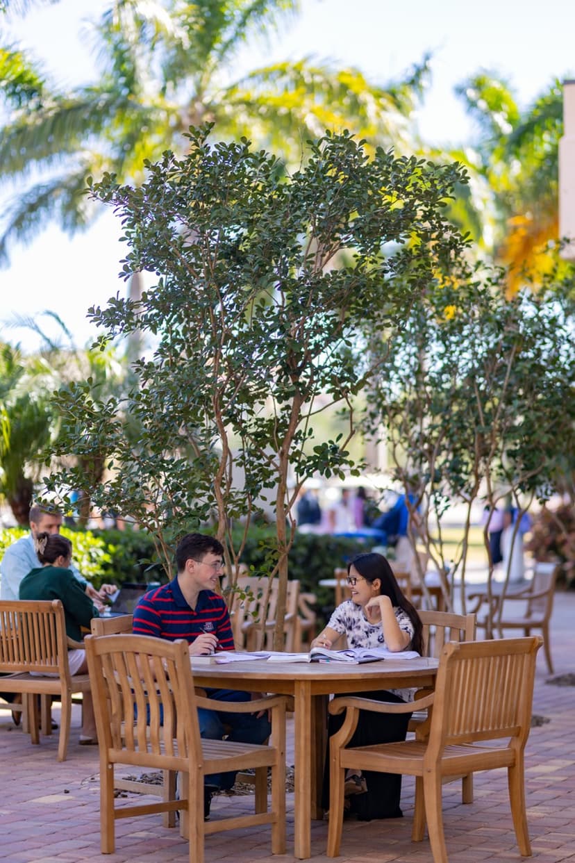 Library Patio Vertical