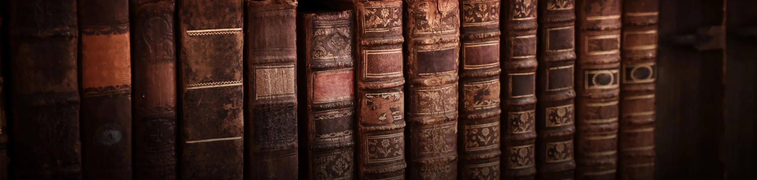 AMERICAN ACADEMY OF CATHOLIC SCHOLARS AND ARTISTS