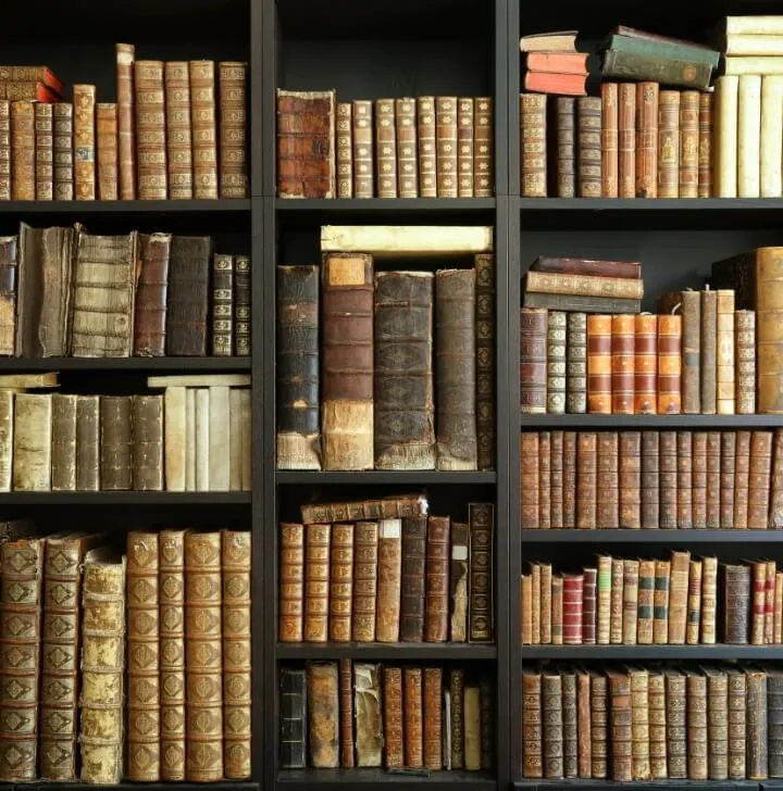 Skills You will Gain with a Humanities and Liberal Studies Degree