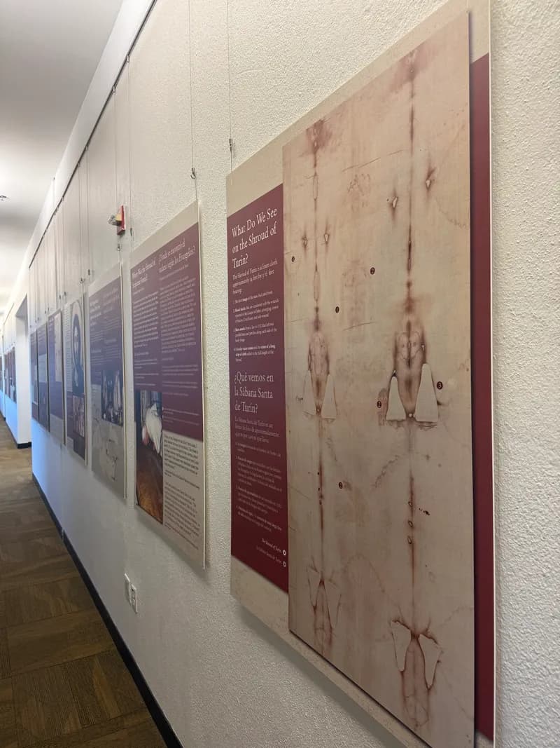 Current Exhibit